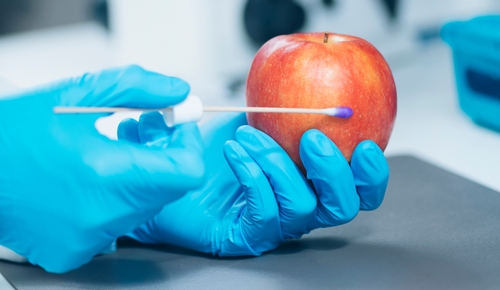 Laboranalyse zur Lebensmittelsicherheit - Biochemiker:in sucht nach Pestiziden in Äpfeln